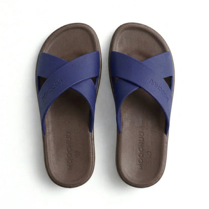 view:top;variant:brown|blue